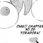 Toradora! Chapter 30: A Dog’s Loyalties