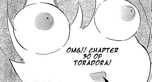 Toradora! Chapter 30: A Dog’s Loyalties